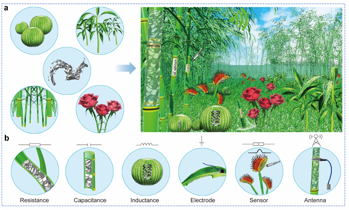 清华大学刘静教授团队《Mater. Today》：首次提出液态金属植物注射电子学